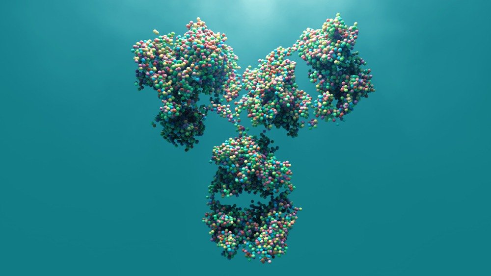 5 Tips for Choosing the Best MSD Assay Services Provider For Your Drug Development Process